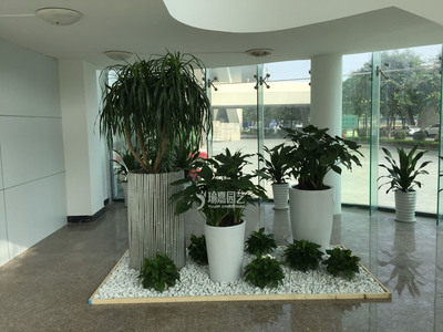 綠植租賃&middot;花卉租擺&middot;綠化養護一站式服務